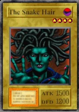 The Snake Hair