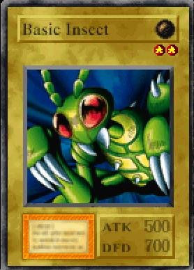 Basic Insect