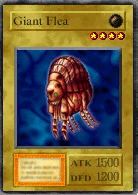 Giant Flea