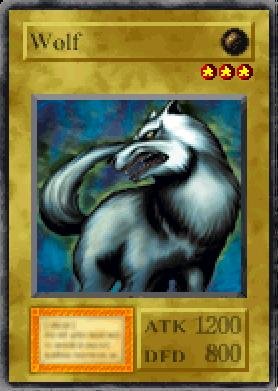 Wolf