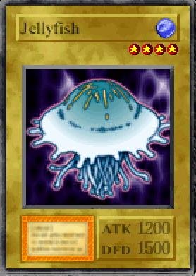 Jellyfish