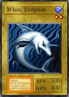 White Dolphin