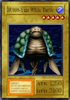 30,000-Year White Turtle