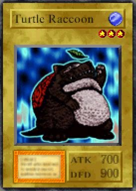 Turtle Raccoon