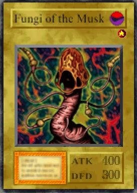 Fungi of the Musk