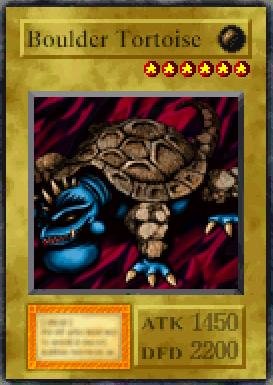 Boulder Tortoise