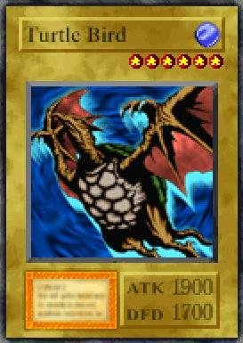Turtle Bird