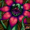 Man Eater