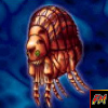 Giant Flea