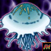 Jellyfish